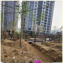 대전포크레인 대전 포크레인 서비스 후기: 믿음직하고 신속한 장비 배차