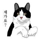 이앤김