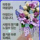 솔우
