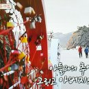 낚시사랑식당