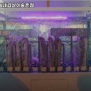 삼씨네겹살이 네이버블로그