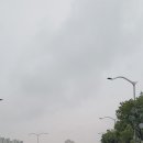 소트리팜