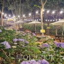 통기타 (야간) 이미지