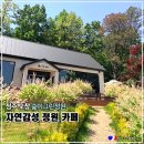 청원꽃식물원 | 청주 오창대형카페 숲이그린정원 청주 정원카페
