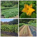 동원부분정비 이미지