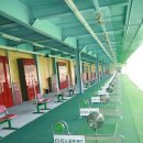 킴스골프랜드 이미지