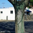 무릉2리(평지동) 이미지