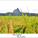 진안읍 1416 | 전북 진안 반월제 마이산 풍경과반영