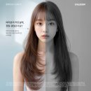사이리헤어 | 헤어디자이너, 커트의 품격을 올려드립니다