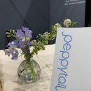 펫슈퍼24 이미지