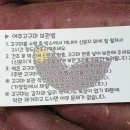진영팜 이미지