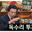 개미궁
