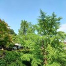 두메산골 이미지