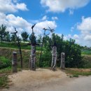 웅이네민박 | 가을 여행지 안동 하회마을 여행 가이드, 방문 꿀팁