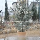 펠리체 | 성복동 맛집 추천 분위기 좋은 이탈리안 레스토랑 타볼라 펠리체 솔직 후기