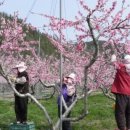 보물농장 이미지