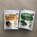 동유중기 이미지