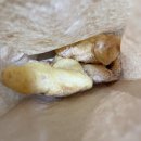 꽈미당 남매꽈배기 이미지