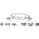 아지오펫살롱