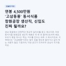 동서커뮤니티 | 연봉 4,500만원 '고삼동풍' 동서식품 창원공장 생산직, 신입도 진짜 될까요?