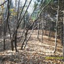 월리농장 이미지