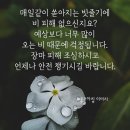 천사아빠님 ~~♡♡ 이미지