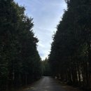 스마일목장 이미지