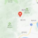 자연그대로민박