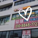 옥토넛키즈카페 오남역점 이미지
