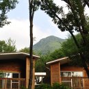 대야산자연휴양림 이미지