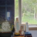 벌교태인 이미지