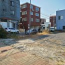 화북신안 이미지