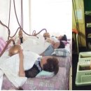오행웰빙하우스강화쑥좌훈방 경향신문
