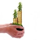 더폴 골프존 이미지