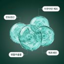 이소틴정 내돈내산 관리 후기 건성 지성 남자 피부 개선 피부결 좋아지는 습관