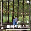 강화도데이트코스 애견동반가능카페 메타포레스트