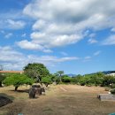 동읍446 | 창원/김해 야외웨딩 스몰웨딩 작은결혼 가능한 장소