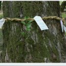 옥종초등학교 이미지