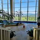 아쿠아필드 이미지