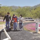 이목목장 이미지