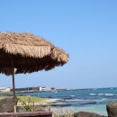 서림카 | ❄️ 제주렌트카 타고 떠나는 겨울 제주 감성 실내 여행지 추천