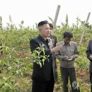 조군농장 이미지