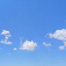 금성초병설유치원 이미지