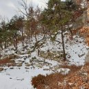 옥정숲산림욕장 티스토리
