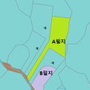 제주가자공인중개사사무소 이미지