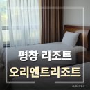 태기산농원 | 평창 숙소 추천 오리엔트리조트 스탠다드 트윈룸 후기