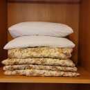 숲속의송어펜션 이미지