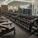 골든타임 핏 이미지