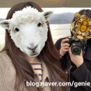 상남동224 이미지