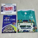 청도군-18 | (제18회) 청도 반시 마라톤 후기